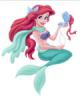 Ariel hercegns jtk
