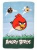 Angry Birds polr takar