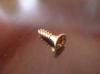 Forgcslap csavar 4x16mm