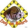 Dog on Board matrica angol bulldog klykkel 20x20cm