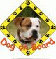 Dog on Board matrica amerikai bulldog fnykpes 15x15cm