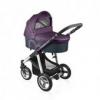 Baby Design Lupo 2 1 multifunkcis babakocsi purple