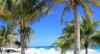 Caribbean tropikus tengerpart fehr naperny kkuszdi plma