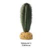 EXO TERRA mnvny PT2981 Saguaro cactus