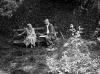 Sznyi Istvn s felesge a Kerti pad on 1954 Gink Kroly fotja