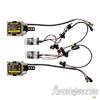 Izz 12V H4 Xenon Bi HID szett 35W T 4300K 2v garanc webshop termk kpe