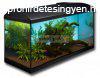 Diversa Startup 80 akvrium szett szgletes 80x35x40 112 l