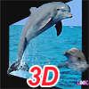3D valdi Puzzle delfin jtk