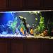Yet Another High Brightness LED HBLED Aquarium Lamp