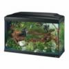 Ferplast Cayman 80 Professional akvrium szett