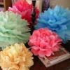 Tissue Paper Pom Poms Flower Balls Wedding Birthday Party Decorations 20 30 35CM