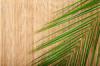 Httr Bambusz sznyeg plma fa