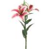 Tiger Lily Spray in Rubrum Pink 24 Inches Tall Two flowers head adorn this stem in a gorgeous so rubrum pink Great way to add a touch of color without being too overpowering Blooms measure 4 5 inches 