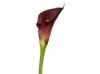 14 Petite Calla Lily Spray in Plum Wine Flower measures approximately 2 in height Great color and an elegant flower make this stem the perfect stem for a bouquet or centerpiece Can also be made into a