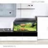 AquaSzut Aqua4Family 60 New 45 literes ves szett