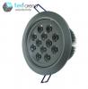 MCL A12 LED Ceiling Light