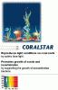 A nmet Sylvania cg vtizedek ta piacvezet a minsgi akvrium fnycsvek gyrtsban Coralstar fnycs Tengervizi akvriumok szmra kiemeli a korallok sznt tmogatja a megfelel zooxanthellae s
