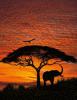 4 rszes poszter African Sunset 194x270 cm