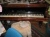Muzelis rgta nem hasznlt zongora elad Hangszer hangolval bevizsgltatott darab llapot kitn