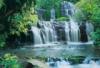 Pura Kaunui Falls ris poszter