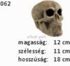 Kermia M062 koponya nagy