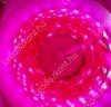Led szalag 60 led m 3528 chip 40 Lumen pink rzsaszin barna nyk 1 v garancia Life Light Led