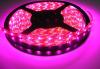 300 SMD LED beltri flex LED-szalag 5m, pink