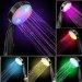 7 COLOR LED SHOWER HEAD ROMANTIC LIGHTS WATER HOME BATH Xmas day