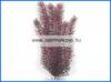 TETRA Plantastics Plus Red Foxtail mnvny 3 as L 30cm
