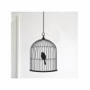 Birdcage falimatrica nagy